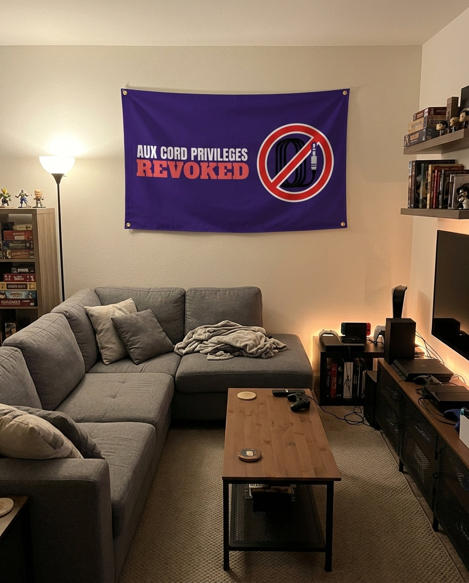 Aux Cord Privileges Revoked flag decorating a game room wall
