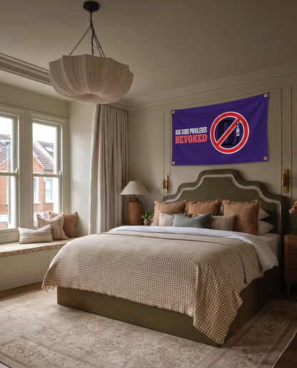 Aux Cord Privileges Revoked music wall flag hanging in a bedroom