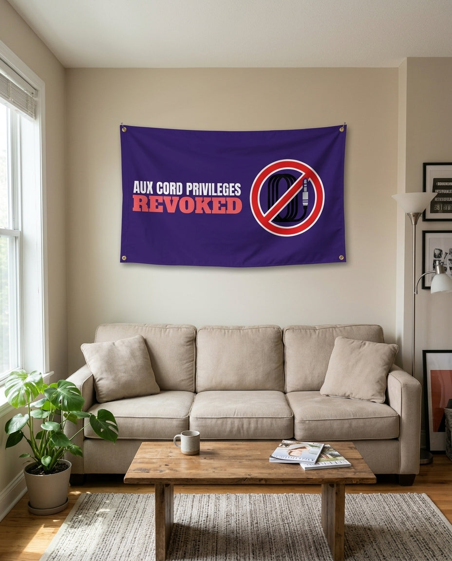 Aux Cord Privileges Revoked flag used as living room wall decor