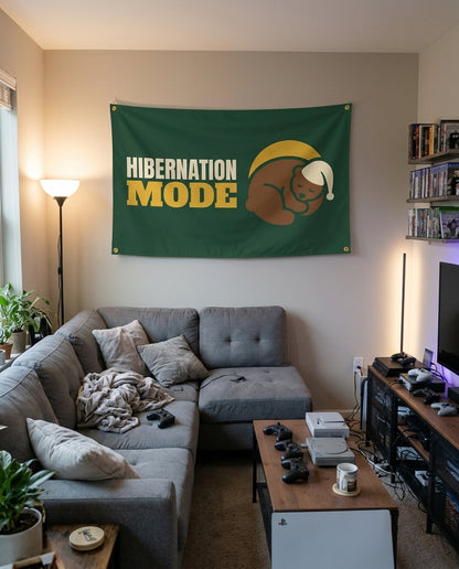 Hibernation Mode flag decorating a game room wall