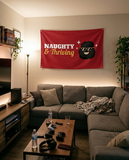 Naughty And Thriving flag decorating a game room wall