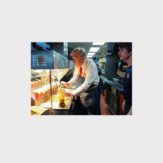 President Donal Trump in Kitchen Poster for Dorm wall