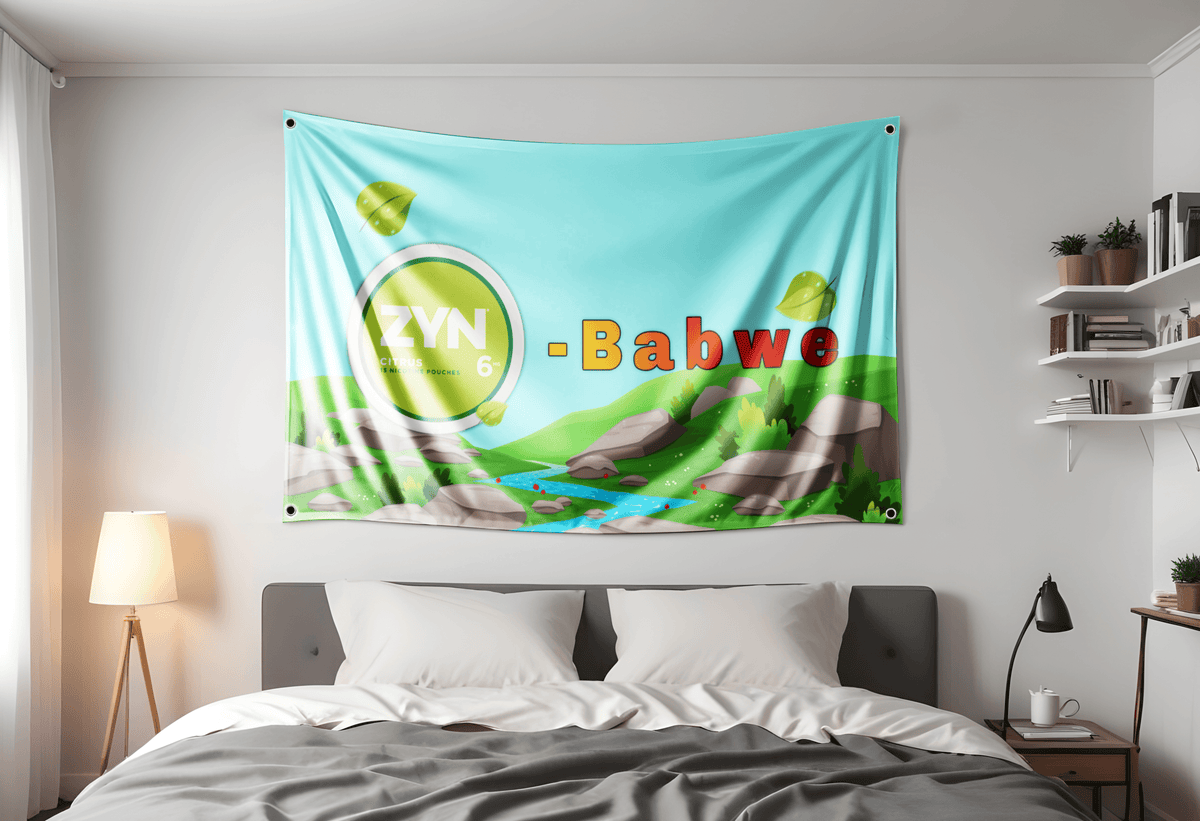 zyn flag hung up in bed room